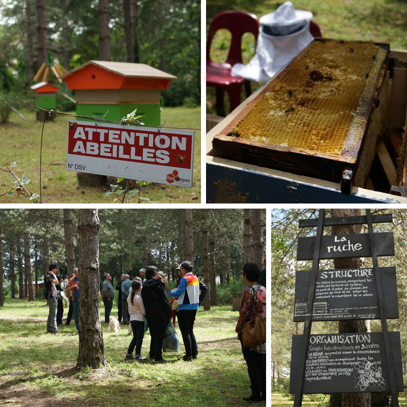 abeille_Negrepelisse